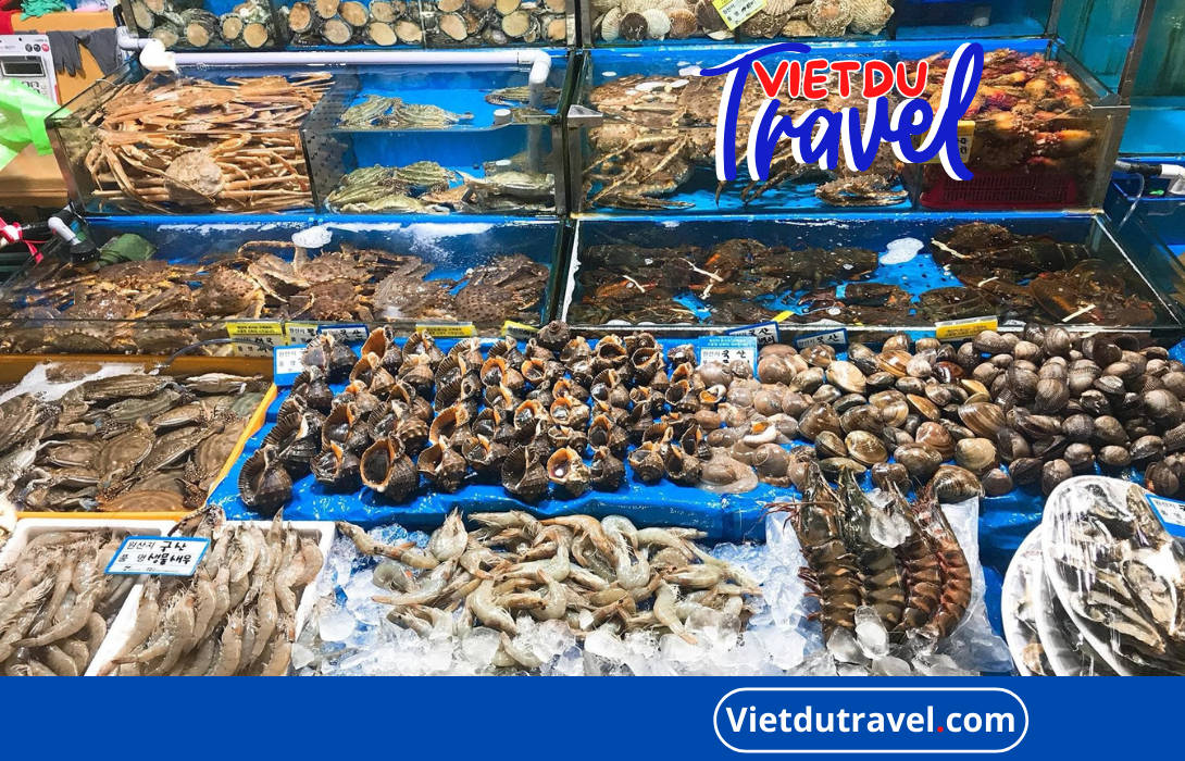 VỰA HẢI SẢN VŨNG TÀU UY TÍN CHẤT LƯỢNG