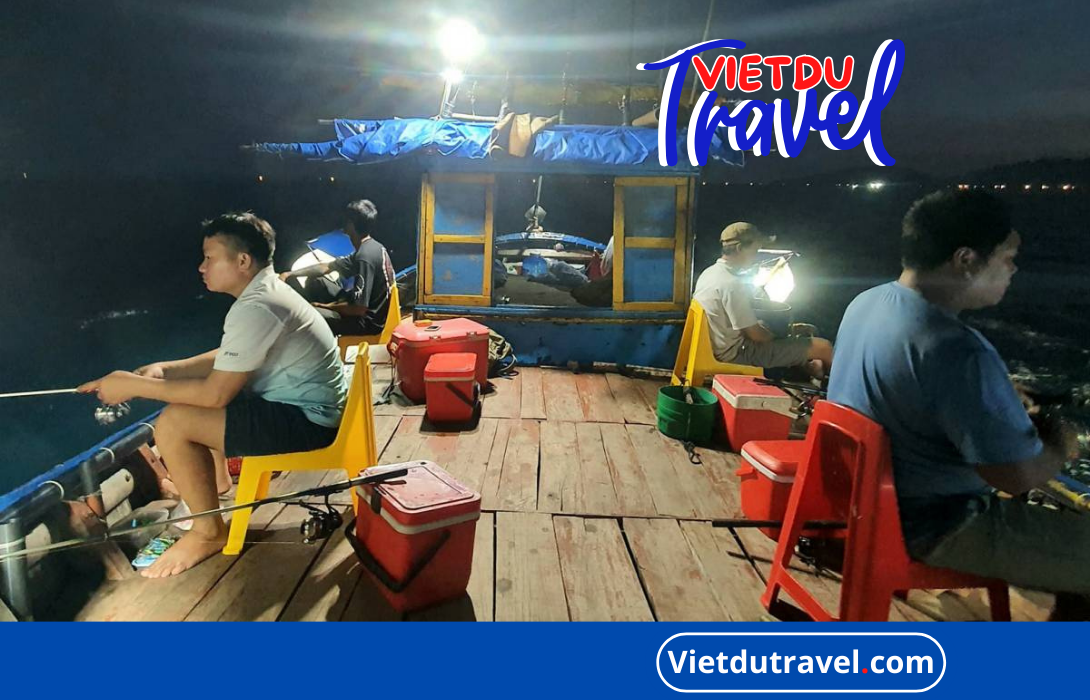 Câu mực đêm tại Vũng Tàu