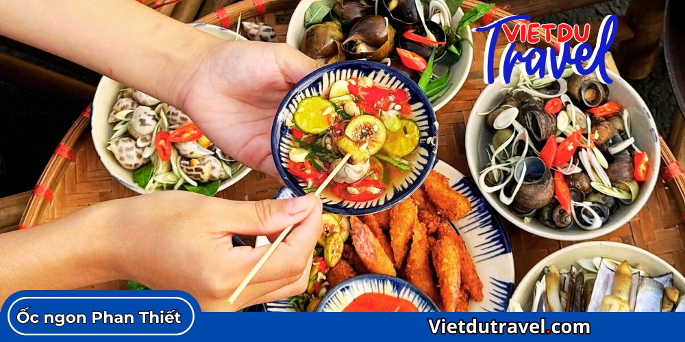 Cẩm nang "phá đảo" Những quán ốc ngon Phan Thiết Nhung quan oc ngon Phan Thiet 2