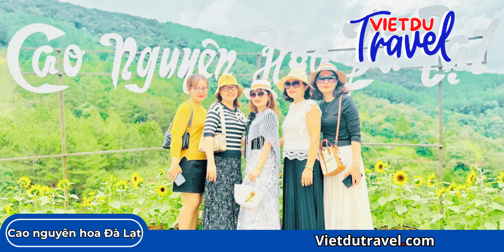 Cao nguyen Hoa Da Lat 6