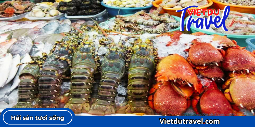 Chợ hải sản Lagi - nơi tinh hoa biển cả hội tụ Cho hai san Lagi 1