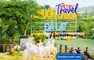 KDL Chuồn Chuồn