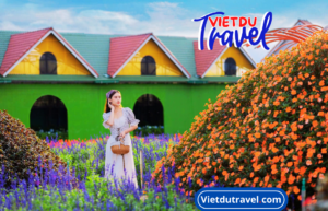 Làng hoa Vạn Thành