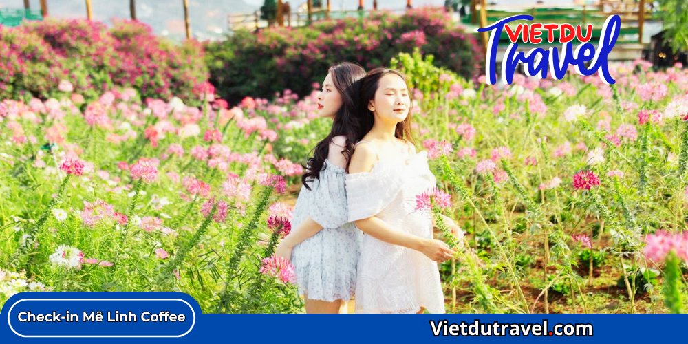 Mê Linh Coffee Garden - Nơi thưởng thức Cà Phê Chồn trứ danh 2026 Me Linh Coffee Garden 6