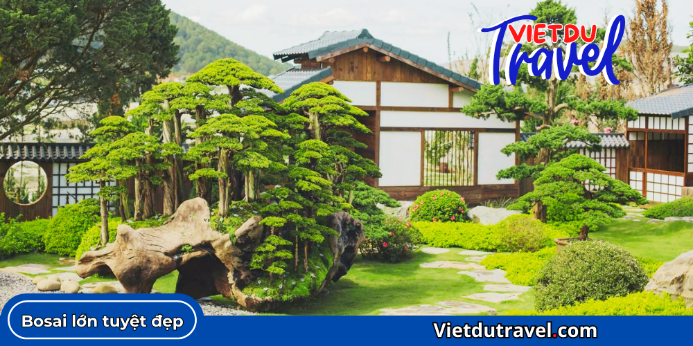 Quê Garden - 1 Tiểu Nhật Bản giữa lòng Đà Lạt Que Garden 6