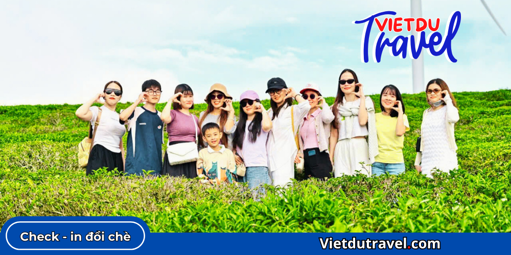 Thiên đường Săn mây Cầu Đất Panorama San may Cau Dat Panorama 3