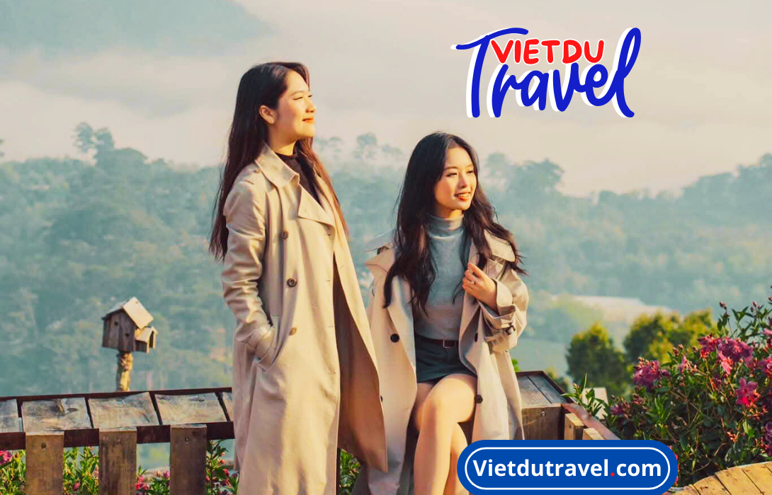 Săn mây Cầu Đất Panorama