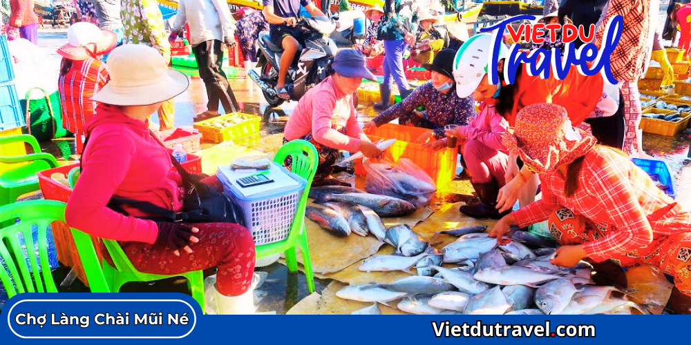 Vua hai san tuoi song Phan Thiet 4