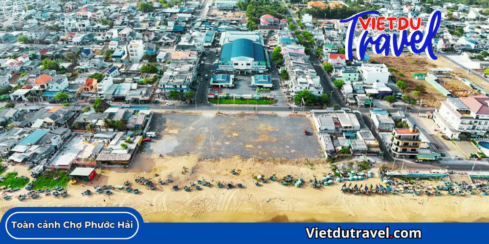 Chợ Phước Hải - Kinh nghiệm tham quan và mua sắm hải sản tươi sống 2026 Cho Phuoc Hai 4