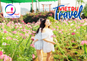 Du lịch Đà Lạt 3 ngày 2 đêm