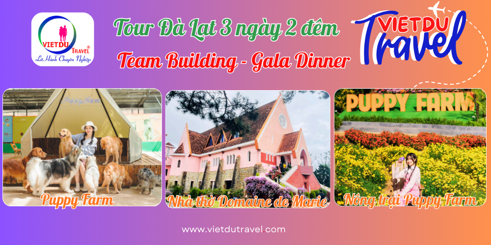Tour Đà Lạt 3 ngày 2 đêm