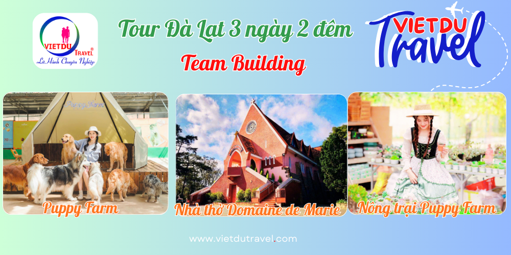 Tour Đà Lạt 3 ngày 2 đêm Team Building Tour Da Lat 3 ngay 2 dem Team Building 1